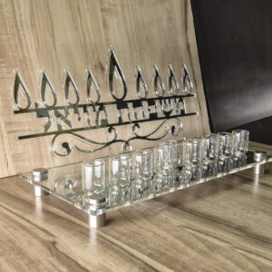 חנוכייה 2025 בלייזר שם משפחה כסוף